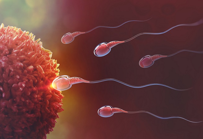 Koronavirüs hastalarında kısırlık ve sperm düşüklüğü tespit edildi